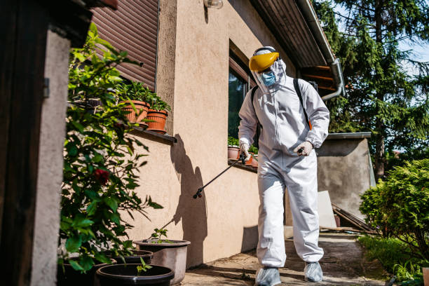 Best Pest Prevention Services  in Mountain Lake Park, MD