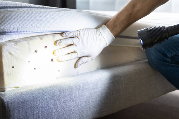 Best Cockroach Control Services  in Mountain Lake Park, MD