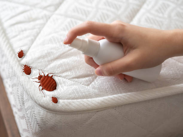 Best Local Pest Control Services  in Mountain Lake Park, MD